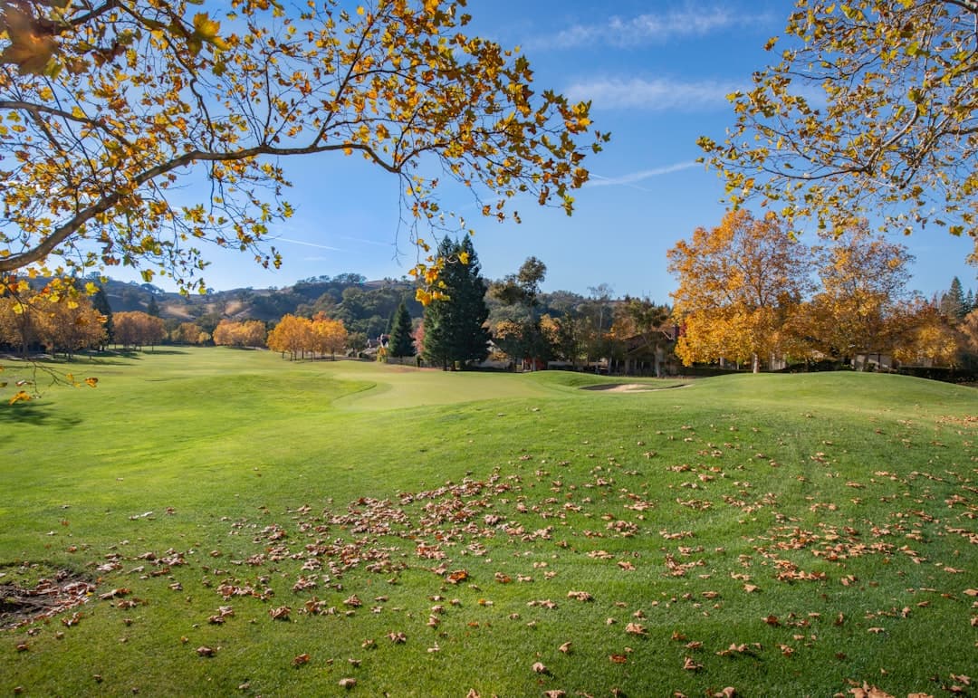 A golf course with green grass and scattered autumn leaves, surrounded by trees with orange foliage under a blue sky.