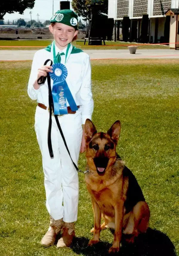 Hands on Dog Training Professional Dog Training in Paradise, CA