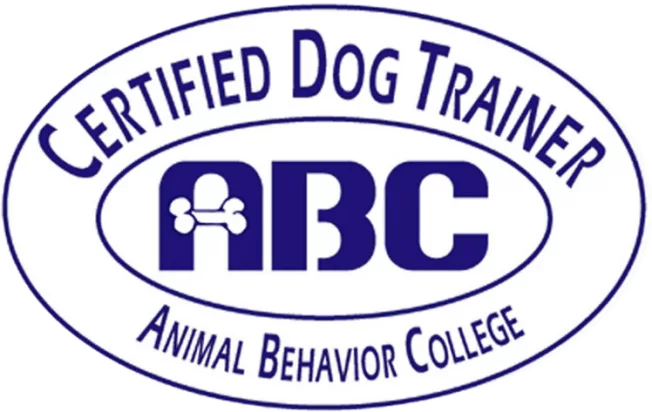 Abc certified sales dog trainer